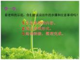 小學(xué)美術(shù)人美版 六年級(jí)下冊(cè) 15我的成長(zhǎng)記錄 課件