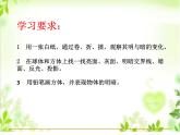小学美术人教版六年级下册第1课明暗与立体 课件