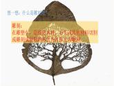 小学美术人教版六年级下册第4课雕与刻的乐趣 课件