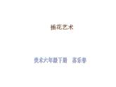 小学美术桂美版六年级下册 第6课插花艺术 课件