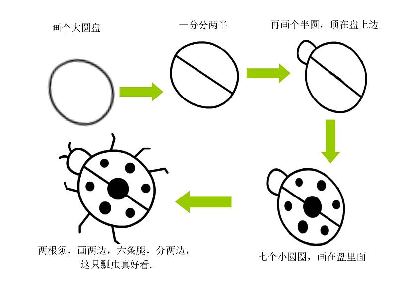 二年级下册美术课件-第6课 七星瓢虫衣裳美｜辽海版  （13张PPT）第6页