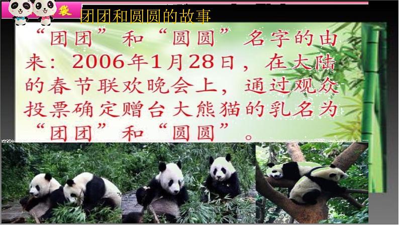 二年级下册美术课件-第22课 熊猫的家｜辽海版 18页第3页