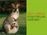 湘美版美術(shù)一年級下冊 8. 袋鼠媽媽的口袋（課件）