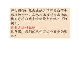 湘美版美術(shù)一年級下冊 9. 有趣的拓印(2)（課件）