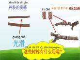 湘美版美術(shù)一年級下冊 13. 彩泥連連看（課件）