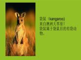 湘美版美術(shù)一年級下冊 8. 袋鼠媽媽的口袋(2)（課件）
