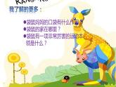 湘美版美術(shù)一年級下冊 8. 袋鼠媽媽的口袋(3)（課件）