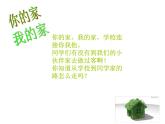 湘美版美術(shù)一年級下冊 7. 你的家 我的家_課件1