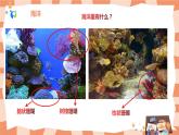 第八課《魚兒游游》課件＋教案