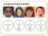 赣美版六下  6.画同学 课件