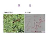 二年级下册美术课件－14夏日里 ｜广西版