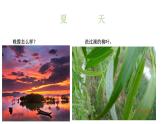 二年级下册美术课件－14夏日里 ｜广西版