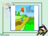 小學美術(shù) 湘教2001課標版 二年級上冊 影子大王《影子大王》教學課件 課件