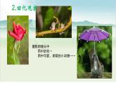 10风雨中 课件