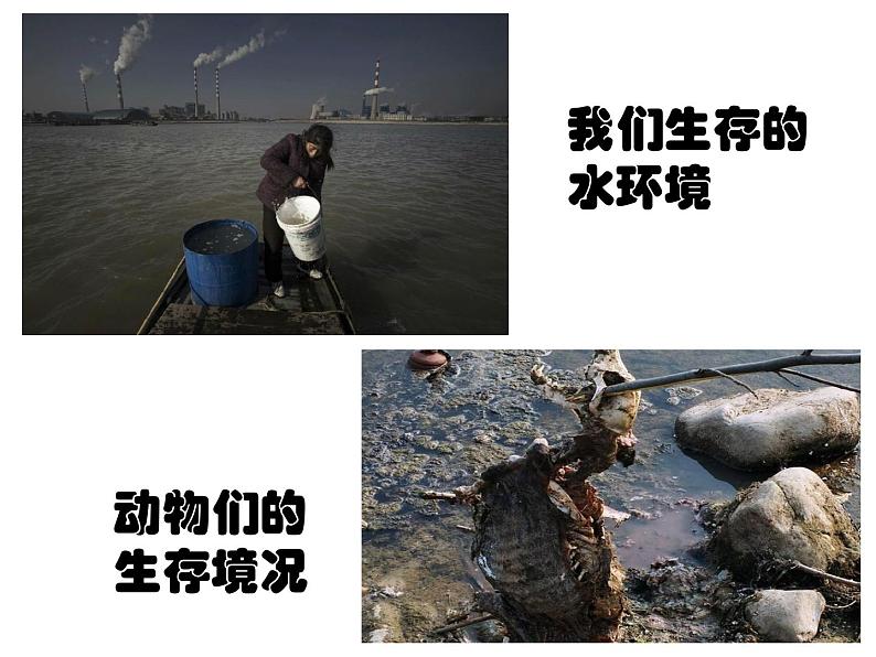 2保护水资源 课件第7页