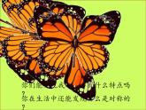 小學(xué)美術(shù) 冀美2011課標(biāo)版 二年級上冊 8對剪花樣 課件