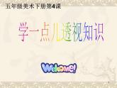 4《学一点儿透视知识》  课件