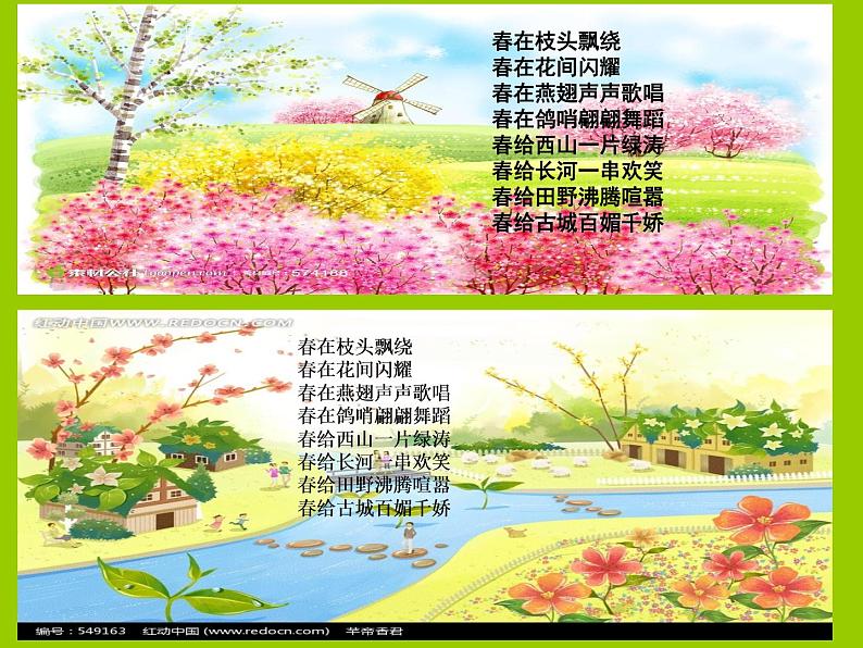 9《为作文画插图》  课件04