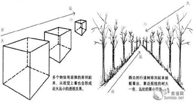 4《学一点儿透视知识》  课件第2页