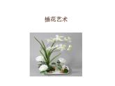 5探索者的故事  课件