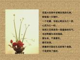 5探索者的故事  课件