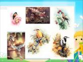 7美麗的鳥 課件