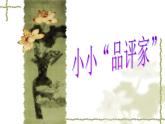 10小小“品評(píng)家” 課件