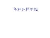 2各種各樣的線 課件