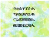 2各種各樣的線 課件