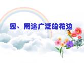4 用途广泛的花边 课件
