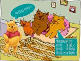 3花地毯 課件