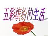 20五彩繽紛的生活  說(shuō)課課件