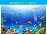 20五彩繽紛的生活 課件