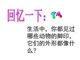 10腳印的聯(lián)想 課件