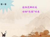 2《重重復(fù)復(fù)》課件