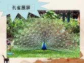 2《重重復(fù)復(fù)》課件