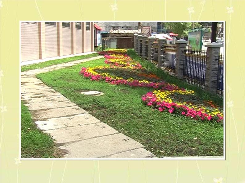 12平凡的美 课件第3页