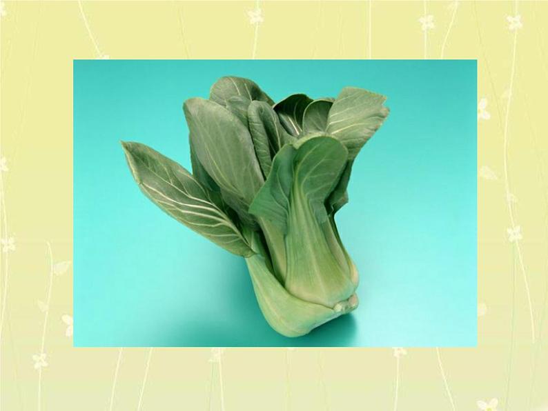 12平凡的美 课件第7页