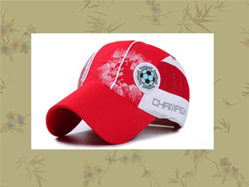 12平凡的美 课件第8页