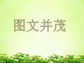 9图文并茂 课件