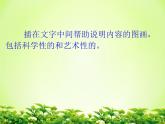 9图文并茂 课件