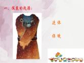 8我設計的服裝 課件