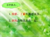 10我和昆蟲 課件