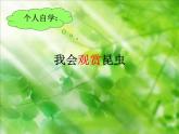 10我和昆蟲 課件