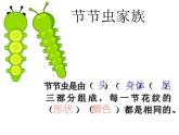 6節(jié)節(jié)蟲 課件
