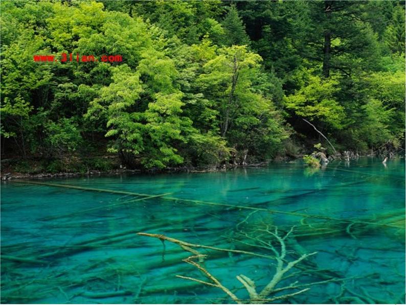 12绿色和紫色的画 课件第4页