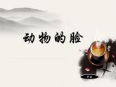 10動物的臉 課件