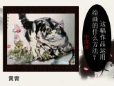 10動物的臉 課件
