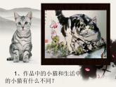 10動物的臉 課件