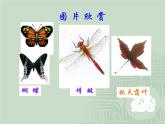 6巧用对称形 课件